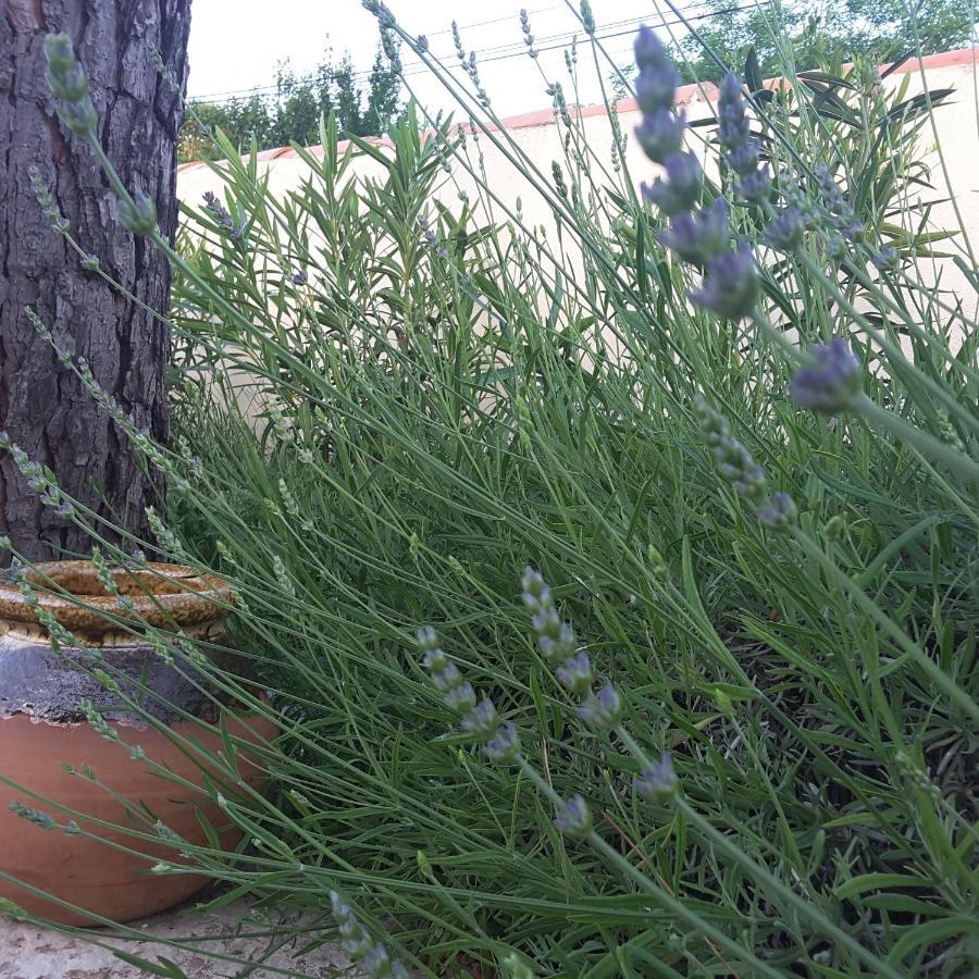 Philoxenia Bed and Breakfast Pourrieres Exteriör bild